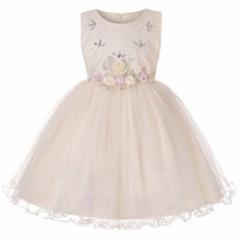 Load image into Gallery viewer, Baby Girls Clothes Flower girl dress for Girls Kids Tutu Birthday Party Dress Infant 2-14 years Kids Christmas Party Dress