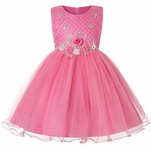 Load image into Gallery viewer, Baby Girls Clothes Flower girl dress for Girls Kids Tutu Birthday Party Dress Infant 2-14 years Kids Christmas Party Dress