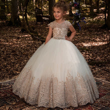 Load image into Gallery viewer, Princess Christmas New Year Party Dresses Baby Kids Birthday Gift Children Embroidery Dress Girls Long Dress Thanksgiving Dress