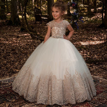 Load image into Gallery viewer, Princess Christmas New Year Party Dresses Baby Kids Birthday Gift Children Embroidery Dress Girls Long Dress Thanksgiving Dress